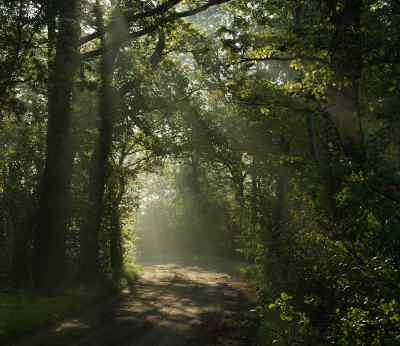 <i class='fa fa-user'></i>&nbsp;Hendrik van Kampen&nbsp;|  It Heechs�n, Borstlaan&nbsp; <i class='fa fa-eye'>&nbsp;65</i> &nbsp;<i class='fa fa-thumbs-up'>&nbsp;1</i> &nbsp; <i class='fa fa-comment-o'>&nbsp;5</i>