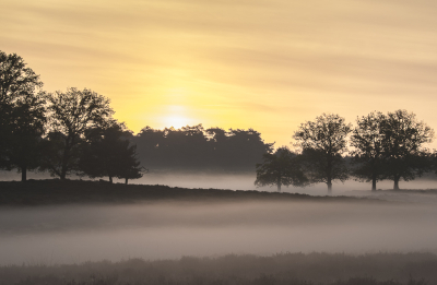 Nature picture: 1. Zonsopkomst