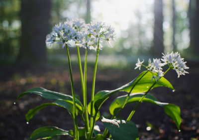 <i class='fa fa-user'></i>&nbsp;hesterb&nbsp;|  Daslook&nbsp; <i class='fa fa-eye'>&nbsp;63</i> &nbsp; <i class='fa fa-comment-o'>&nbsp;1</i>