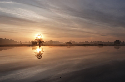 Nature picture: 1. Doorbrekende zon