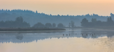 <i class='fa fa-user'></i>&nbsp;Reinier van den Born&nbsp;|  Zonsopkomst&nbsp; <i class='fa fa-eye'>&nbsp;81</i> &nbsp;<i class='fa fa-thumbs-up'>&nbsp;2</i> &nbsp; <i class='fa fa-comment-o'>&nbsp;5</i>