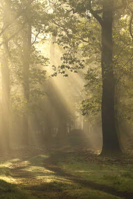 <i class='fa fa-user'></i>&nbsp;ErnovanDoorn&nbsp;|  Zonneharpen&nbsp; <i class='fa fa-eye'>&nbsp;65</i> &nbsp;<i class='fa fa-thumbs-up'>&nbsp;1</i> &nbsp; <i class='fa fa-comment-o'>&nbsp;6</i>