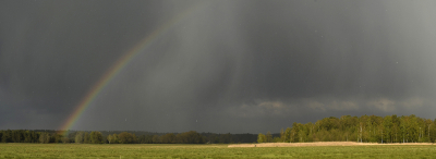 <i class='fa fa-user'></i>&nbsp;Eric Gibcus&nbsp;|  Regenboog en hagel&nbsp; <i class='fa fa-eye'>&nbsp;67</i> &nbsp; <i class='fa fa-comment-o'>&nbsp;3</i>