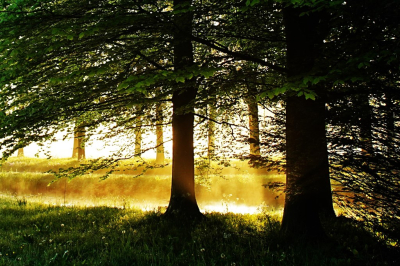 <i class='fa fa-user'></i>&nbsp;hesterb&nbsp;|  Ochtend damp&nbsp; <i class='fa fa-eye'>&nbsp;84</i> &nbsp;<i class='fa fa-thumbs-up'>&nbsp;2</i> &nbsp; <i class='fa fa-comment-o'>&nbsp;4</i>