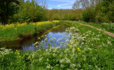 <i class='fa fa-user'></i>&nbsp;B.M.Schouten-Ruis&nbsp;|  Hitland&nbsp; <i class='fa fa-eye'>&nbsp;66</i> &nbsp; <i class='fa fa-comment-o'>&nbsp;3</i>