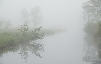 <i class='fa fa-user'></i>&nbsp;nelappelmelk&nbsp;|  Mist&nbsp; <i class='fa fa-eye'>&nbsp;70</i> &nbsp;<i class='fa fa-thumbs-up'>&nbsp;2</i> &nbsp; <i class='fa fa-comment-o'>&nbsp;3</i>