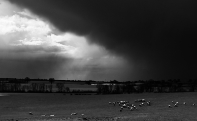 <i class='fa fa-user'></i>&nbsp;liesbeth van vliet&nbsp;|  Overtrekkende bui&nbsp; <i class='fa fa-eye'>&nbsp;83</i> &nbsp;<i class='fa fa-thumbs-up'>&nbsp;2</i> &nbsp; <i class='fa fa-comment-o'>&nbsp;7</i>