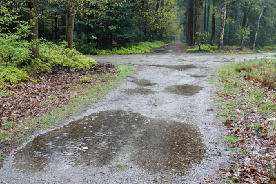 <i class='fa fa-user'></i>&nbsp;nelappelmelk&nbsp;|  Nat&nbsp; <i class='fa fa-eye'>&nbsp;51</i> &nbsp;<i class='fa fa-thumbs-up'>&nbsp;1</i> &nbsp; <i class='fa fa-comment-o'>&nbsp;5</i>