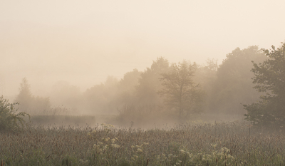 <i class='fa fa-user'></i>&nbsp;ErnovanDoorn&nbsp;|  Krimpenerhout&nbsp; <i class='fa fa-eye'>&nbsp;56</i> &nbsp;<i class='fa fa-thumbs-up'>&nbsp;2</i> &nbsp; <i class='fa fa-comment-o'>&nbsp;3</i>