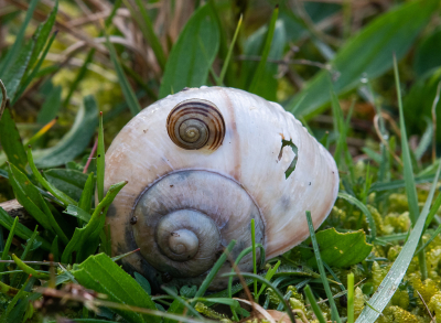 <i class='fa fa-user'></i>&nbsp;Eef Kieft&nbsp;|  Woning met penthouse&nbsp; <i class='fa fa-eye'>&nbsp;56</i> &nbsp; <i class='fa fa-comment-o'>&nbsp;3</i>