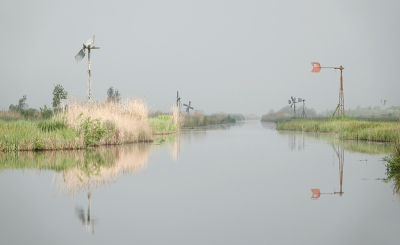 <i class='fa fa-user'></i>&nbsp;nelappelmelk&nbsp;|  Zonnetje komt door&nbsp; <i class='fa fa-eye'>&nbsp;95</i> &nbsp;<i class='fa fa-thumbs-up'>&nbsp;1</i> &nbsp; <i class='fa fa-comment-o'>&nbsp;2</i>