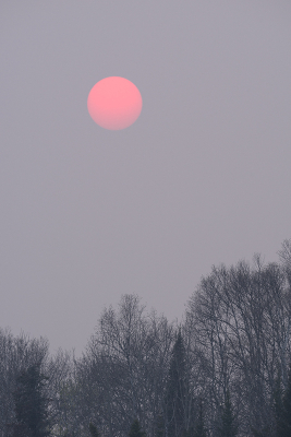 <i class='fa fa-user'></i>&nbsp;Jan Luit&nbsp;|  Zon&nbsp; <i class='fa fa-eye'>&nbsp;52</i> &nbsp; <i class='fa fa-comment-o'>&nbsp;1</i>