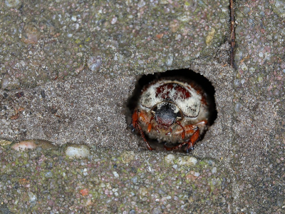 <i class='fa fa-user'></i>&nbsp;Sophie&nbsp;|  Gewone Meikever&nbsp; <i class='fa fa-eye'>&nbsp;109</i> &nbsp;<i class='fa fa-thumbs-up'>&nbsp;11</i> &nbsp; <i class='fa fa-comment-o'>&nbsp;14</i>