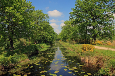 <i class='fa fa-user'></i>&nbsp;Tineke Strijbosch&nbsp;|  Natuurgebied Zeijerwiek&nbsp; <i class='fa fa-eye'>&nbsp;62</i> &nbsp;<i class='fa fa-thumbs-up'>&nbsp;1</i> &nbsp; <i class='fa fa-comment-o'>&nbsp;5</i>