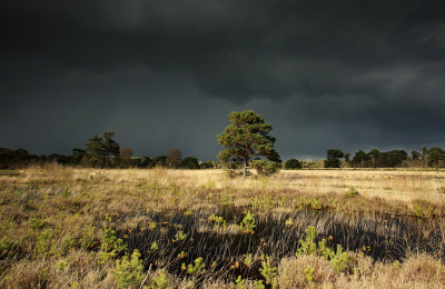 <i class='fa fa-user'></i>&nbsp;Pieter  LJ&nbsp;|  Zon en onweer&nbsp; <i class='fa fa-eye'>&nbsp;105</i> &nbsp;<i class='fa fa-thumbs-up'>&nbsp;2</i> &nbsp; <i class='fa fa-comment-o'>&nbsp;6</i>