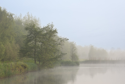 Een mooie ochtend met mist, dus vroeg op pad. Al weer wat later werd de mist wat dunner, maar genoeg om een mooie sfeer in deze foto te krijgen.