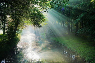 <i class='fa fa-user'></i>&nbsp;hesterb&nbsp;|  Zonlicht&nbsp; <i class='fa fa-eye'>&nbsp;74</i> &nbsp;<i class='fa fa-thumbs-up'>&nbsp;5</i> &nbsp; <i class='fa fa-comment-o'>&nbsp;11</i>