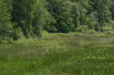 <i class='fa fa-user'></i>&nbsp;Tim Oord&nbsp;|  Blauwgrasland&nbsp; <i class='fa fa-eye'>&nbsp;65</i> &nbsp; <i class='fa fa-comment-o'>&nbsp;6</i>