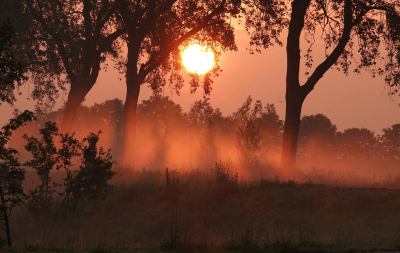 <i class='fa fa-user'></i>&nbsp;Nel R&nbsp;|  Vroege morgen&nbsp; <i class='fa fa-eye'>&nbsp;63</i> &nbsp; <i class='fa fa-comment-o'>&nbsp;7</i>