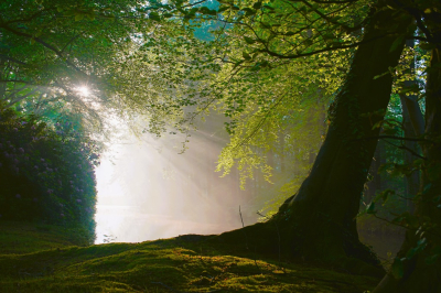 <i class='fa fa-user'></i>&nbsp;hesterb&nbsp;|  Zonneharprapsodie&nbsp; <i class='fa fa-eye'>&nbsp;93</i> &nbsp;<i class='fa fa-thumbs-up'>&nbsp;9</i> &nbsp; <i class='fa fa-comment-o'>&nbsp;6</i>