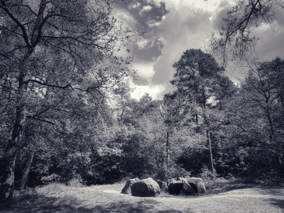 <i class='fa fa-user'></i>&nbsp;Tineke Strijbosch&nbsp;|  Hunebed D31&nbsp; <i class='fa fa-eye'>&nbsp;99</i> &nbsp;<i class='fa fa-thumbs-up'>&nbsp;5</i> &nbsp; <i class='fa fa-comment-o'>&nbsp;6</i>