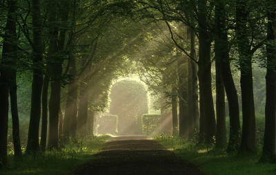 <i class='fa fa-user'></i>&nbsp;Nel R&nbsp;|  Donker met een beetje licht&nbsp; <i class='fa fa-eye'>&nbsp;106</i> &nbsp;<i class='fa fa-thumbs-up'>&nbsp;4</i> &nbsp; <i class='fa fa-comment-o'>&nbsp;6</i>