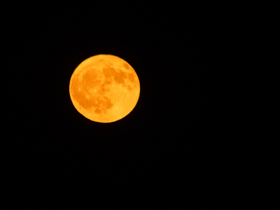 <i class='fa fa-user'></i>&nbsp;Truus Aletta Maan&nbsp;|  Maan&nbsp; <i class='fa fa-eye'>&nbsp;61</i> &nbsp; <i class='fa fa-comment-o'>&nbsp;3</i>