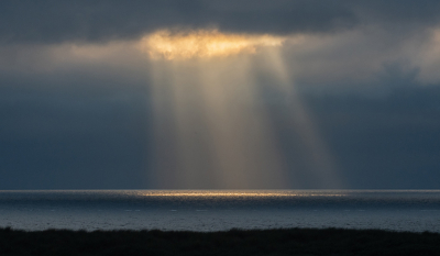 <i class='fa fa-user'></i>&nbsp;Eef Kieft&nbsp;|  Licht&nbsp; <i class='fa fa-eye'>&nbsp;66</i> &nbsp;<i class='fa fa-thumbs-up'>&nbsp;2</i> &nbsp; <i class='fa fa-comment-o'>&nbsp;5</i>