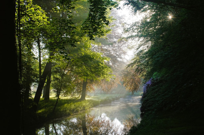 <i class='fa fa-user'></i>&nbsp;hesterb&nbsp;|  Ochtendlicht&nbsp; <i class='fa fa-eye'>&nbsp;73</i> &nbsp; <i class='fa fa-comment-o'>&nbsp;3</i>