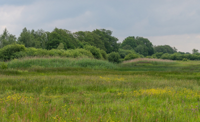 <i class='fa fa-user'></i>&nbsp;Tim Oord&nbsp;|  Blauwgrasland&nbsp; <i class='fa fa-eye'>&nbsp;81</i> &nbsp; <i class='fa fa-comment-o'>&nbsp;3</i>