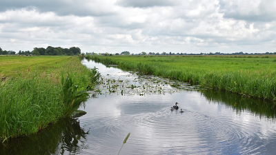 <i class='fa fa-user'></i>&nbsp;kooyammers&nbsp;|  Boerensloot&nbsp; <i class='fa fa-eye'>&nbsp;52</i> &nbsp;<i class='fa fa-thumbs-up'>&nbsp;1</i> &nbsp; <i class='fa fa-comment-o'>&nbsp;3</i>