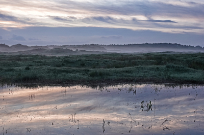 <i class='fa fa-user'></i>&nbsp;nelappelmelk&nbsp;|  Mistig landschap&nbsp; <i class='fa fa-eye'>&nbsp;73</i> &nbsp;<i class='fa fa-thumbs-up'>&nbsp;2</i> &nbsp; <i class='fa fa-comment-o'>&nbsp;9</i>