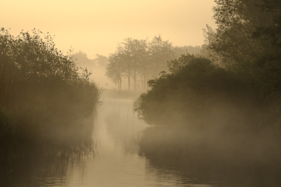 <i class='fa fa-user'></i>&nbsp;ErnovanDoorn&nbsp;|  Oude Wetering&nbsp; <i class='fa fa-eye'>&nbsp;69</i> &nbsp;<i class='fa fa-thumbs-up'>&nbsp;2</i> &nbsp; <i class='fa fa-comment-o'>&nbsp;11</i>