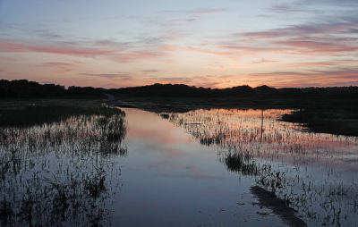 <i class='fa fa-user'></i>&nbsp;nelappelmelk&nbsp;|  Kleurrijke morgen&nbsp; <i class='fa fa-eye'>&nbsp;59</i> &nbsp;<i class='fa fa-thumbs-up'>&nbsp;3</i> &nbsp; <i class='fa fa-comment-o'>&nbsp;5</i>
