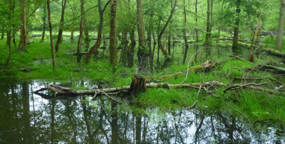 <i class='fa fa-user'></i>&nbsp;hesterb&nbsp;|  Kan alle kanten op&nbsp; <i class='fa fa-eye'>&nbsp;79</i> &nbsp; <i class='fa fa-comment-o'>&nbsp;6</i>