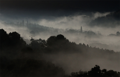 <i class='fa fa-user'></i>&nbsp;liesbeth van vliet&nbsp;|  Mistig landschap&nbsp; <i class='fa fa-eye'>&nbsp;77</i> &nbsp;<i class='fa fa-thumbs-up'>&nbsp;7</i> &nbsp; <i class='fa fa-comment-o'>&nbsp;9</i>