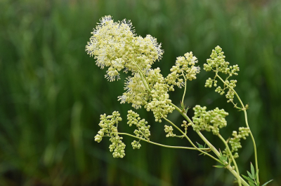 <i class='fa fa-user'></i>&nbsp;kooyammers&nbsp;|  Poelruit&nbsp; <i class='fa fa-eye'>&nbsp;41</i> &nbsp; <i class='fa fa-comment-o'>&nbsp;1</i>