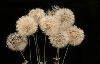 <i class='fa fa-user'></i>&nbsp;frbeuming&nbsp;|  Gele Morgenster&nbsp; <i class='fa fa-eye'>&nbsp;45</i> &nbsp;<i class='fa fa-thumbs-up'>&nbsp;2</i> &nbsp; <i class='fa fa-comment-o'>&nbsp;2</i>