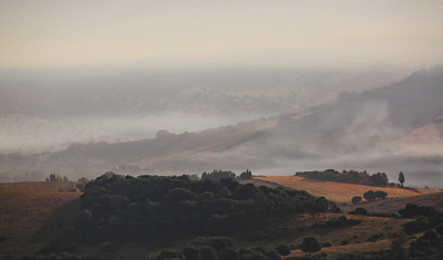 <i class='fa fa-user'></i>&nbsp;Pieter  LJ&nbsp;|  Mistig landschap&nbsp; <i class='fa fa-eye'>&nbsp;74</i> &nbsp; <i class='fa fa-comment-o'>&nbsp;7</i>