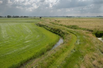 <i class='fa fa-user'></i>&nbsp;Hendrik van Kampen&nbsp;|  Krabbedijk&nbsp; <i class='fa fa-eye'>&nbsp;62</i> &nbsp;<i class='fa fa-thumbs-up'>&nbsp;1</i> &nbsp; <i class='fa fa-comment-o'>&nbsp;2</i>