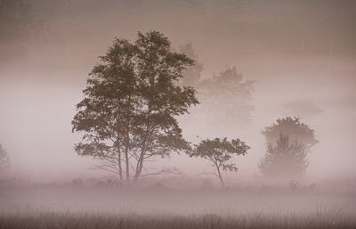 <i class='fa fa-user'></i>&nbsp;ErnovanDoorn&nbsp;|  Ochtend mist&nbsp; <i class='fa fa-eye'>&nbsp;76</i> &nbsp;<i class='fa fa-thumbs-up'>&nbsp;1</i> &nbsp; <i class='fa fa-comment-o'>&nbsp;11</i>