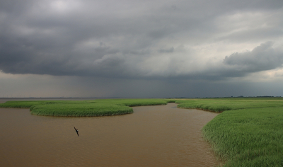 <i class='fa fa-user'></i>&nbsp;Tineke Strijbosch&nbsp;|  Dollard&nbsp; <i class='fa fa-eye'>&nbsp;75</i> &nbsp;<i class='fa fa-thumbs-up'>&nbsp;9</i> &nbsp; <i class='fa fa-comment-o'>&nbsp;13</i>