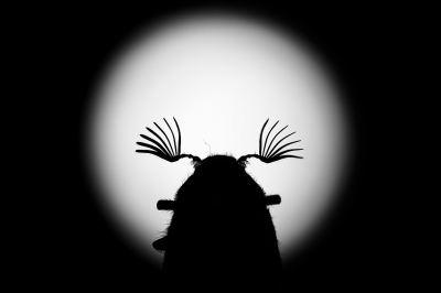 <i class='fa fa-user'></i>&nbsp;Sophie&nbsp;|  Gewone Meikever&nbsp; <i class='fa fa-eye'>&nbsp;54</i> &nbsp; <i class='fa fa-comment-o'>&nbsp;1</i>