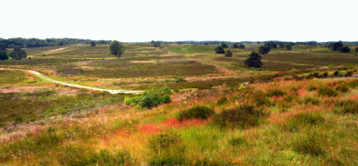 <i class='fa fa-user'></i>&nbsp;B.M.Schouten-Ruis&nbsp;|  Elspeter Heide&nbsp; <i class='fa fa-eye'>&nbsp;95</i> &nbsp;<i class='fa fa-thumbs-up'>&nbsp;1</i> &nbsp; <i class='fa fa-comment-o'>&nbsp;8</i>