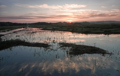 <i class='fa fa-user'></i>&nbsp;nelappelmelk&nbsp;|  Zonsopkomst&nbsp; <i class='fa fa-eye'>&nbsp;73</i> &nbsp; <i class='fa fa-comment-o'>&nbsp;4</i>