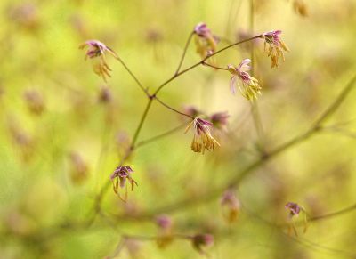 <i class='fa fa-user'></i>&nbsp;Nel R&nbsp;|  Kleine Ruit&nbsp; <i class='fa fa-eye'>&nbsp;56</i> &nbsp; <i class='fa fa-comment-o'>&nbsp;3</i>