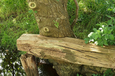 <i class='fa fa-user'></i>&nbsp;frbeuming&nbsp;|  Natuurlijke overname&nbsp; <i class='fa fa-eye'>&nbsp;61</i> &nbsp; <i class='fa fa-comment-o'>&nbsp;2</i>