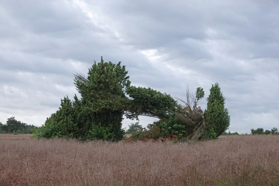 <i class='fa fa-user'></i>&nbsp;nelappelmelk&nbsp;|  Doorkijkje&nbsp; <i class='fa fa-eye'>&nbsp;78</i> &nbsp; <i class='fa fa-comment-o'>&nbsp;1</i>