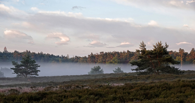 <i class='fa fa-user'></i>&nbsp;nelappelmelk&nbsp;|  Vroege morgen&nbsp; <i class='fa fa-eye'>&nbsp;68</i> &nbsp; <i class='fa fa-comment-o'>&nbsp;1</i>