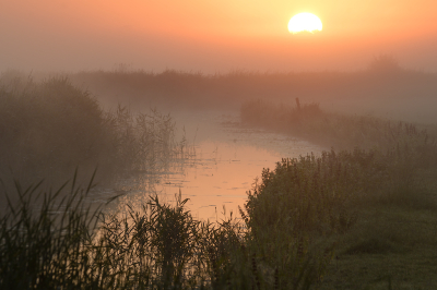 <i class='fa fa-user'></i>&nbsp;Hendrik van Kampen&nbsp;|  Kloostervaart&nbsp; <i class='fa fa-eye'>&nbsp;75</i> &nbsp;<i class='fa fa-thumbs-up'>&nbsp;5</i> &nbsp; <i class='fa fa-comment-o'>&nbsp;7</i>